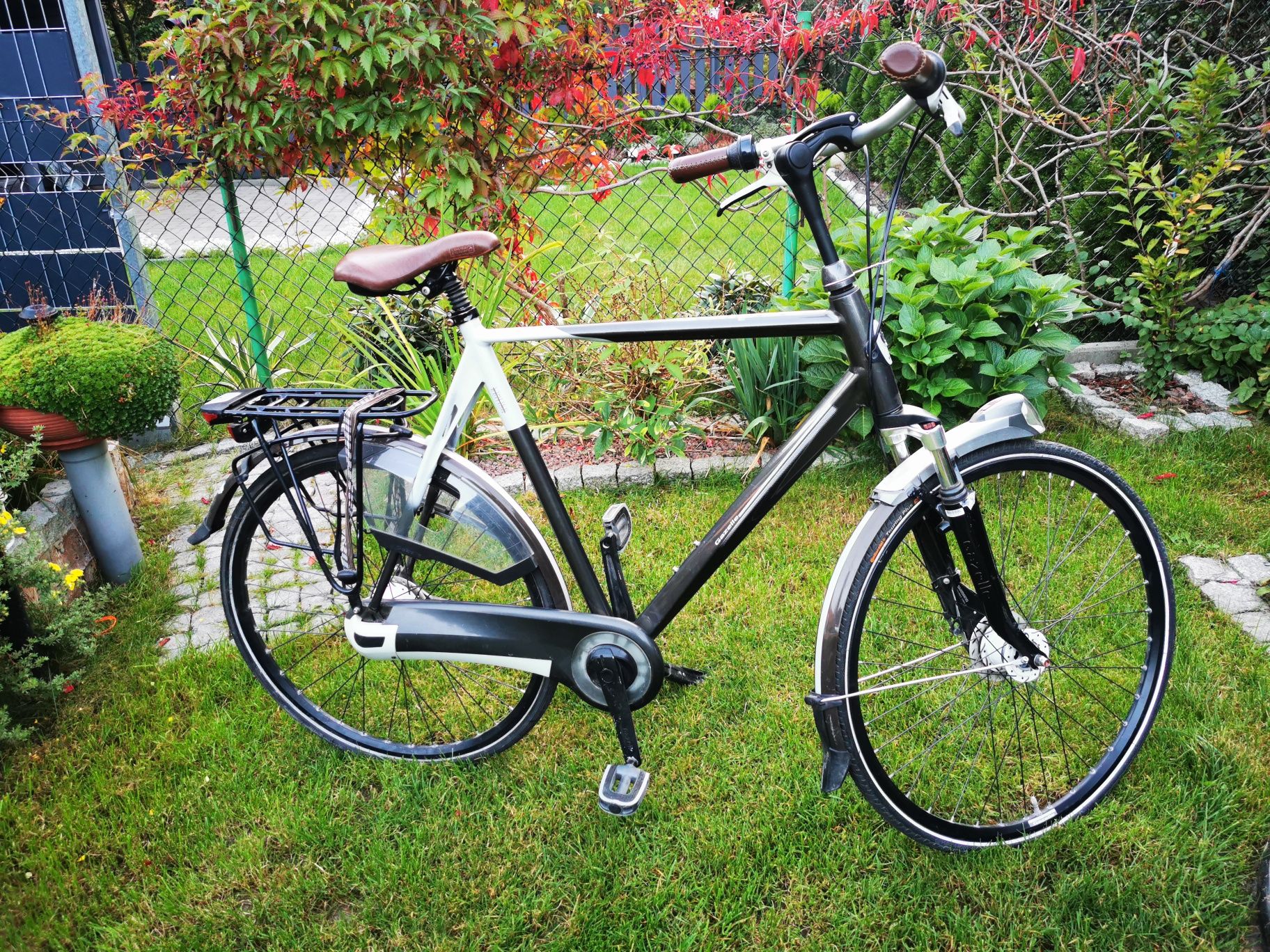 Gazelle Eclipse Limited Edition