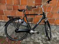 Rower męski Gazelle Orange