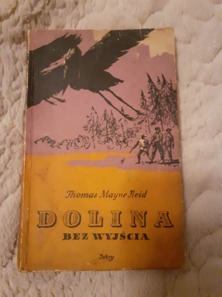 Książka Dolina bez wyjścia Thomas Mayne Reid