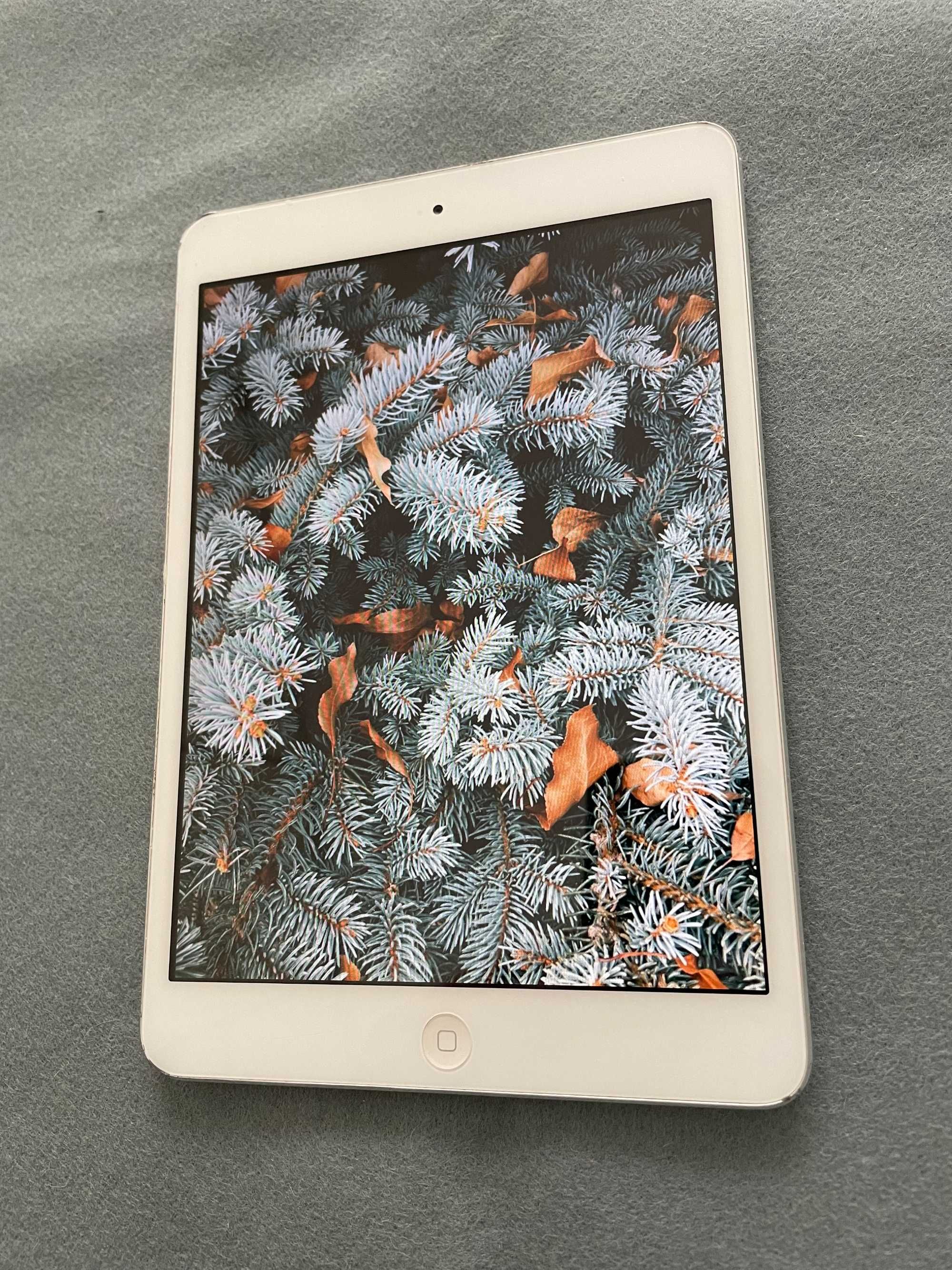 TANI iPad Mini 16GB wifi biały BATERIA 90%