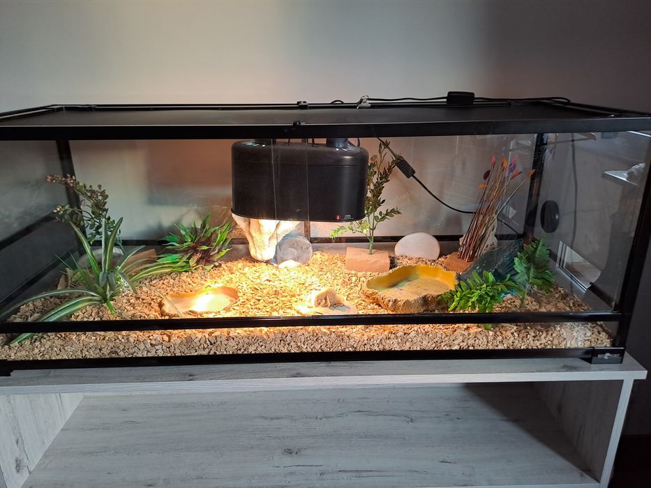 Terrarium jak nowe