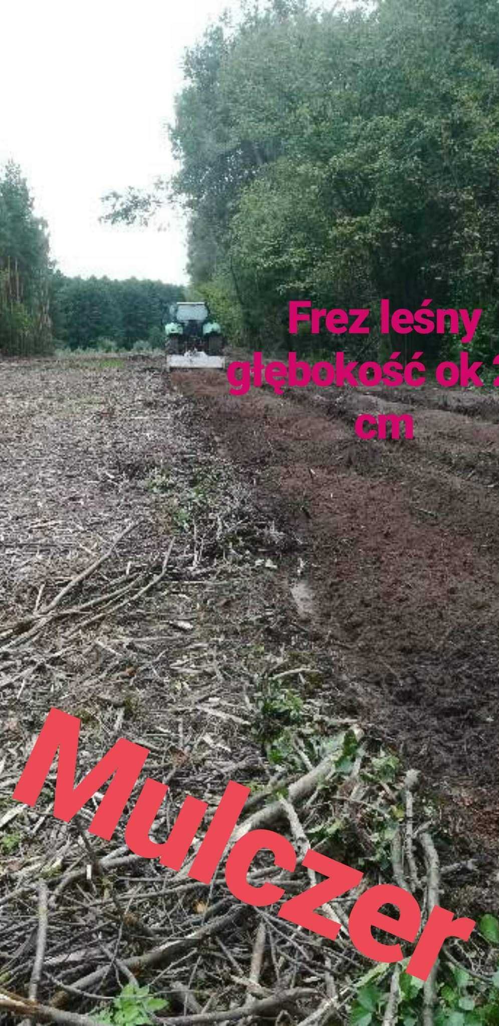 WYCINKA drzew lasów,samosiejek,rębak,mulczowanie,rekultywacja