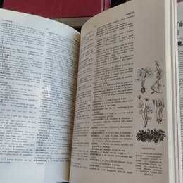 Dicionário Ilustrado Língua Portuguesa, Ed Verbo, completo, 4 volumes