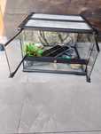 Sprzedam Terrarium