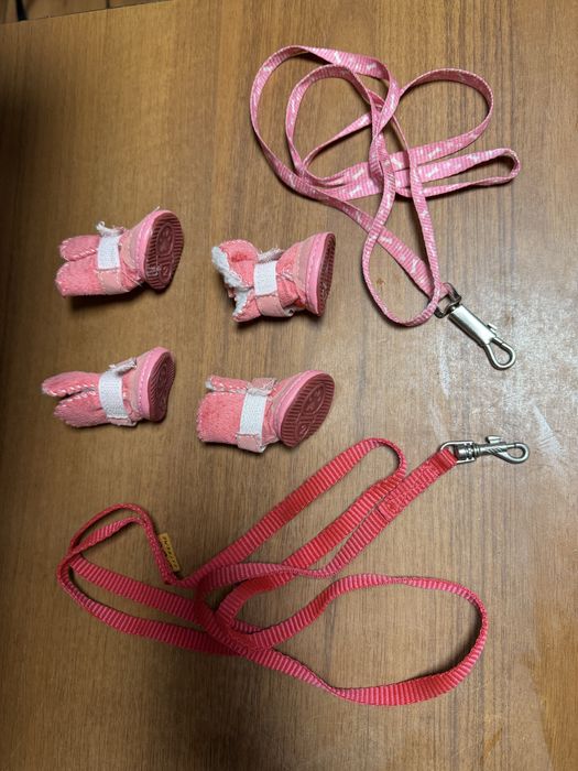 Взуття для чіхуахуа + 2 повадки в подарунок