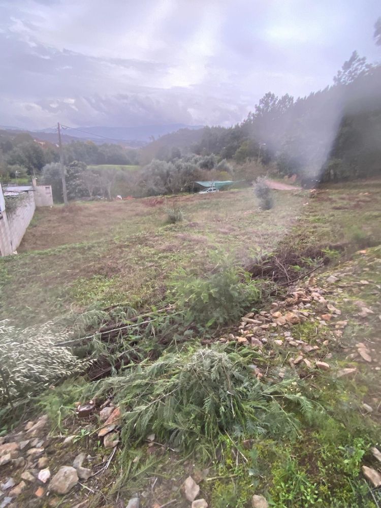 Vende-se terreno com 5500 m2 e Barracão