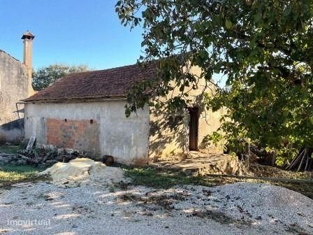 Ruina com Projeto para Reconstrução – Venda do Brasil, Ansião