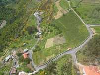 Terreno em Torgueda de 8264,00 m2