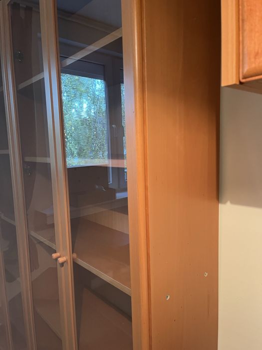 Regal ze szkalnymi drzwiami