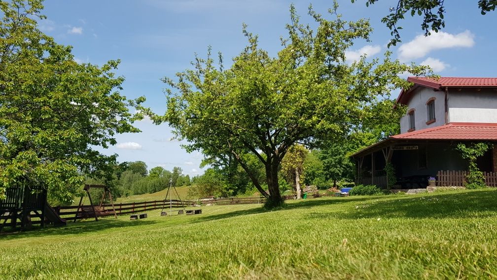 Wolne terminy dom domek do wynajęcia jeziorem staw ryby agroturystyka