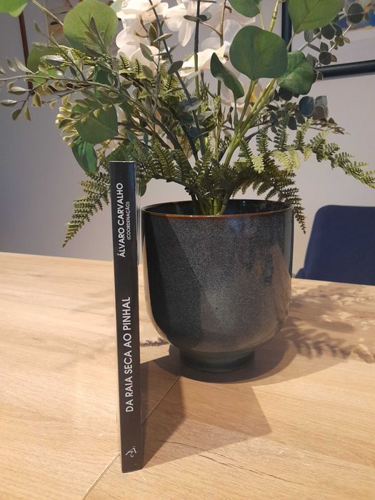 Da Raia Seca ao Pinhal (Livro Esgotado)