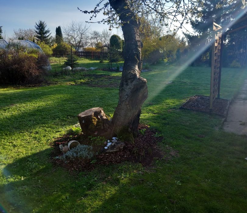 Ogródek R.O.D Oaza Uniszowice