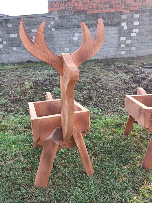 Jelonki małe 65 cm wysokość