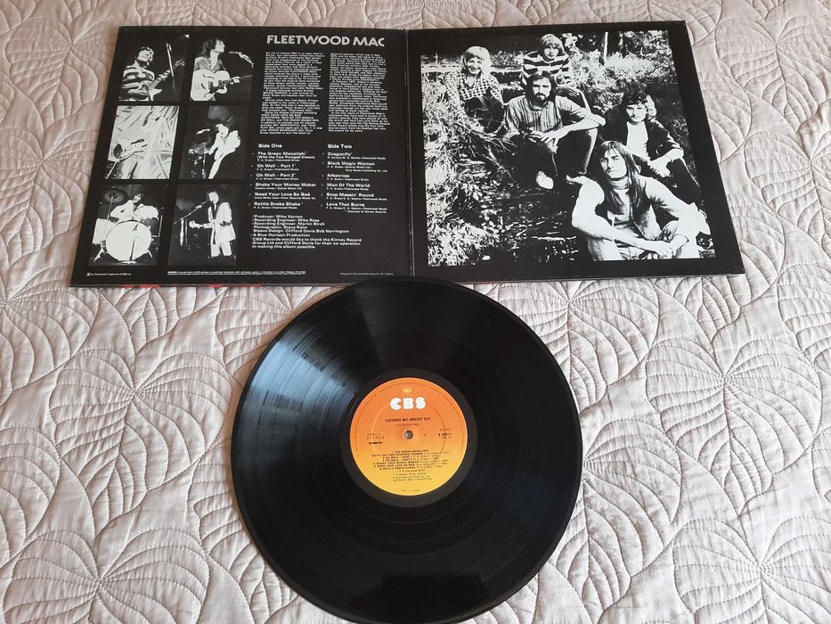 Steely Dan–Johnny Winter-Iron Maiden–Van Hallen–Fleetwood Mac-Vinil LP