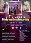 Mis na imprezę / żywa maskotka/wesele