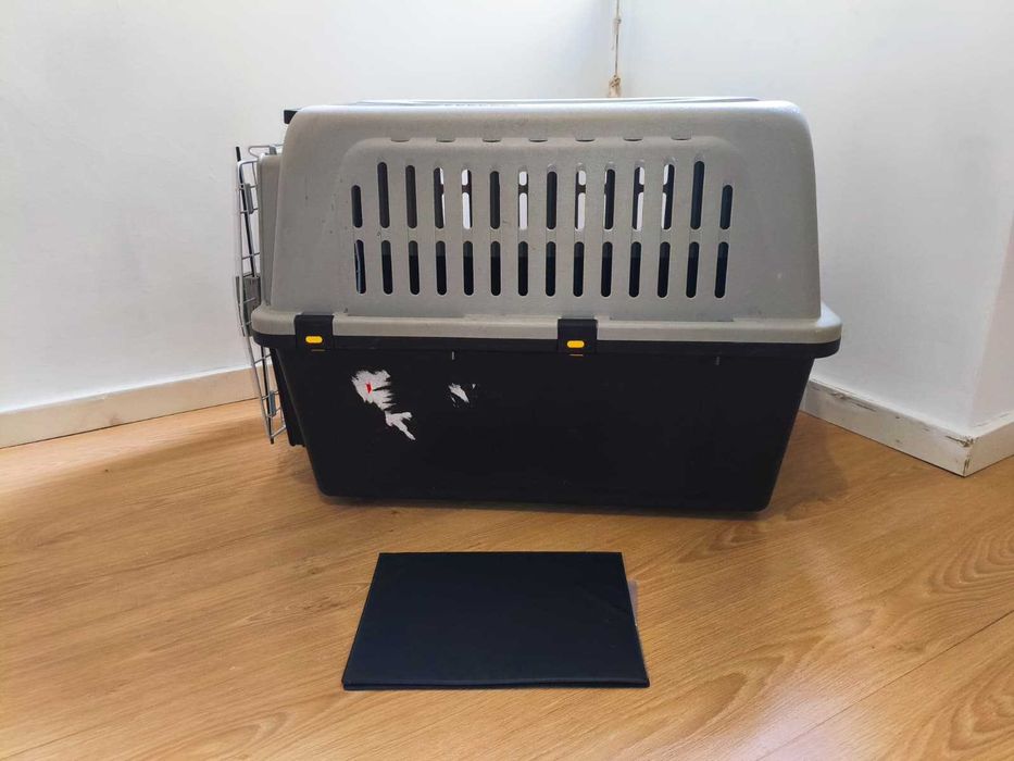 Caixa transporte Cães e PET grande