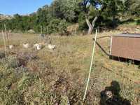 Cercado eléctrico a energia Solar