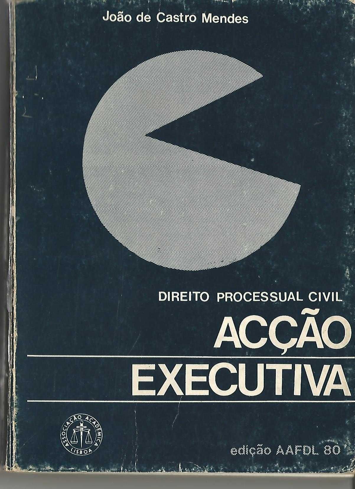 Acção Executiva, edição AAFDL 90