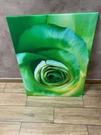 Obraz róża kwiat zielony