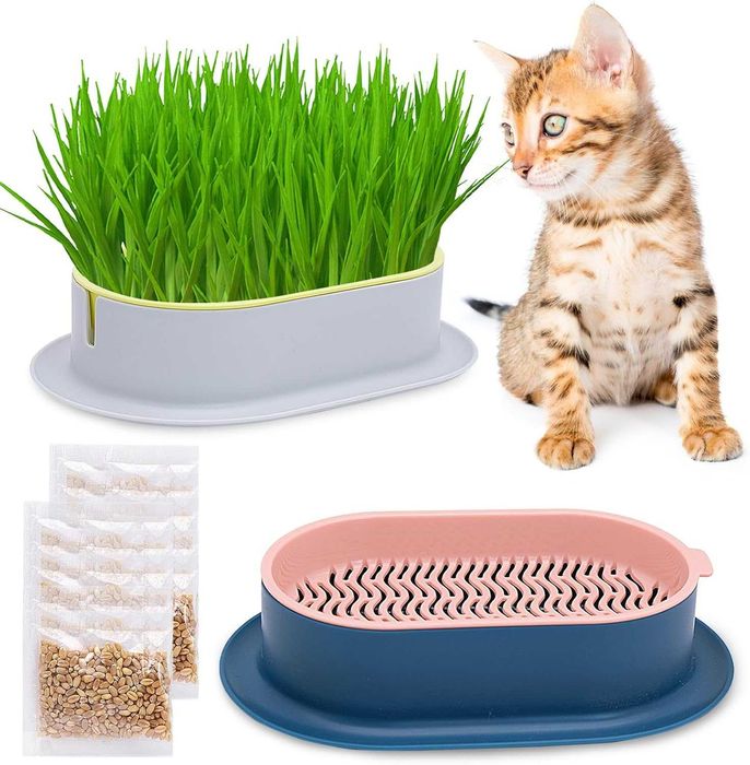 Tacka taca do kiełkowania kociej trawy z nasionami