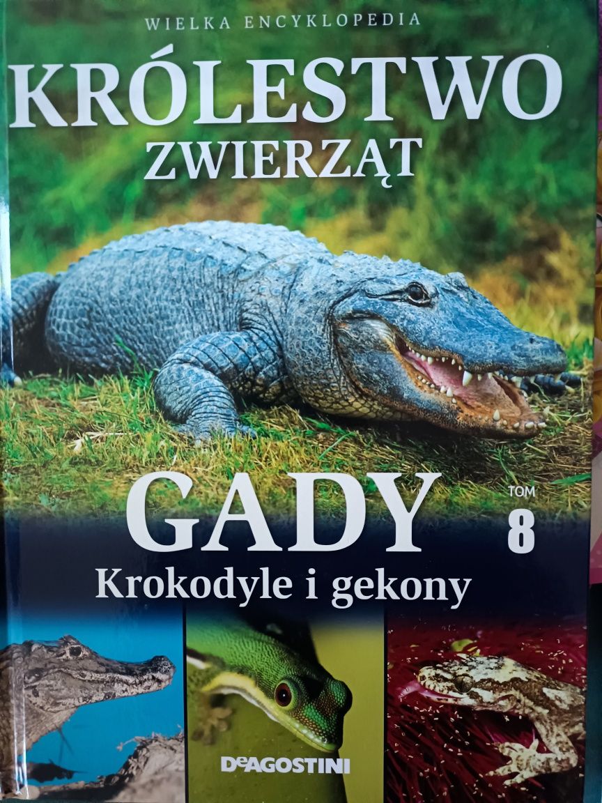 Książki o zwierzętach konie ssaki psy gady, zwierzęta hodowlane