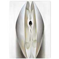 Georgia O'Keeffe PLakat muszla 50x70 cm