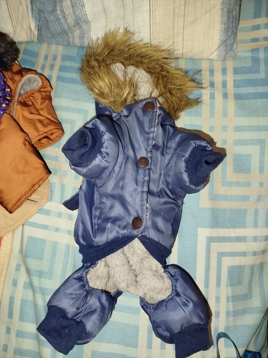 Зимняя одежда для маленьких собакчек