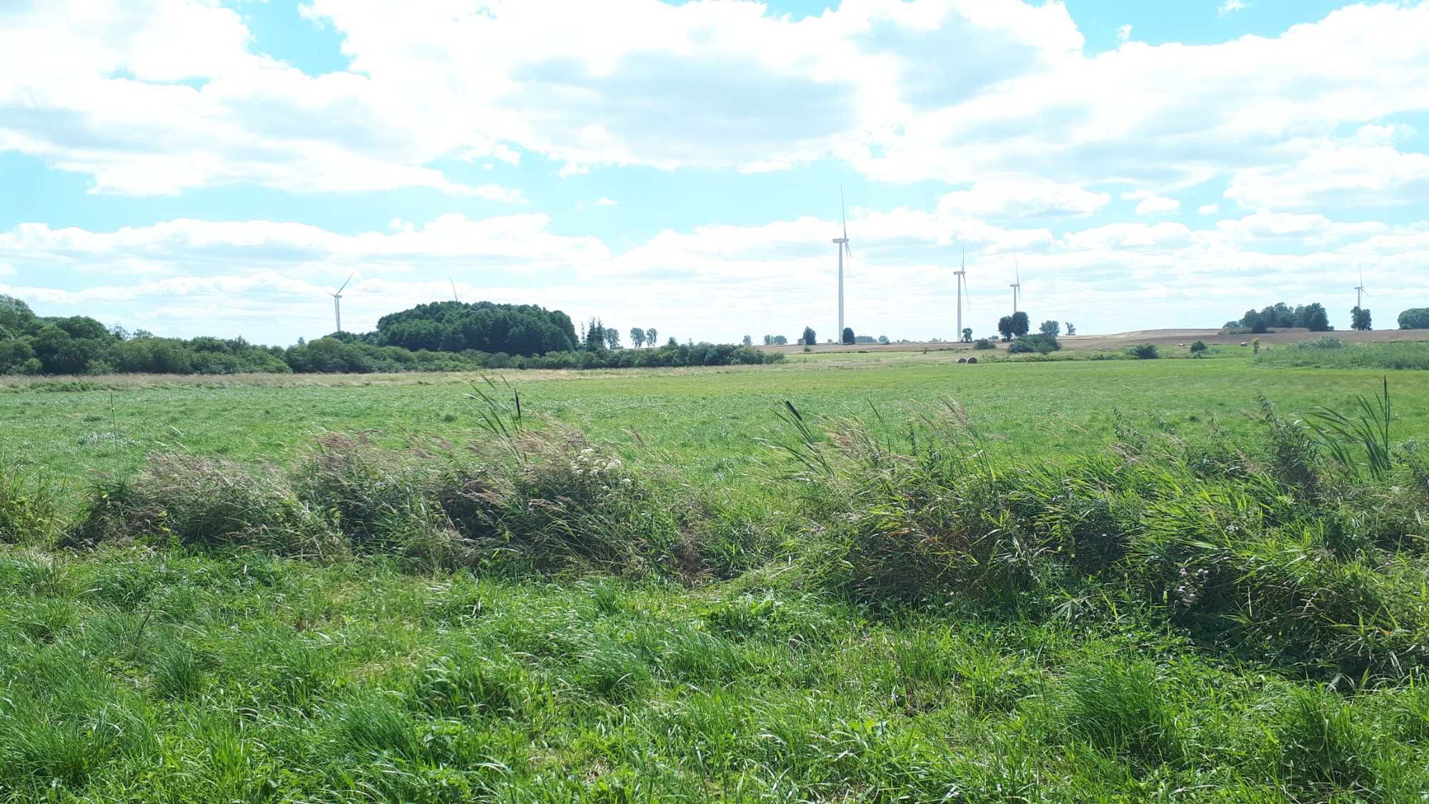 Słodkówko trzy duże działki rolne razem 1,96 hektara OKAZJA