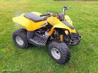 CAN-AM DS 90 Super stan