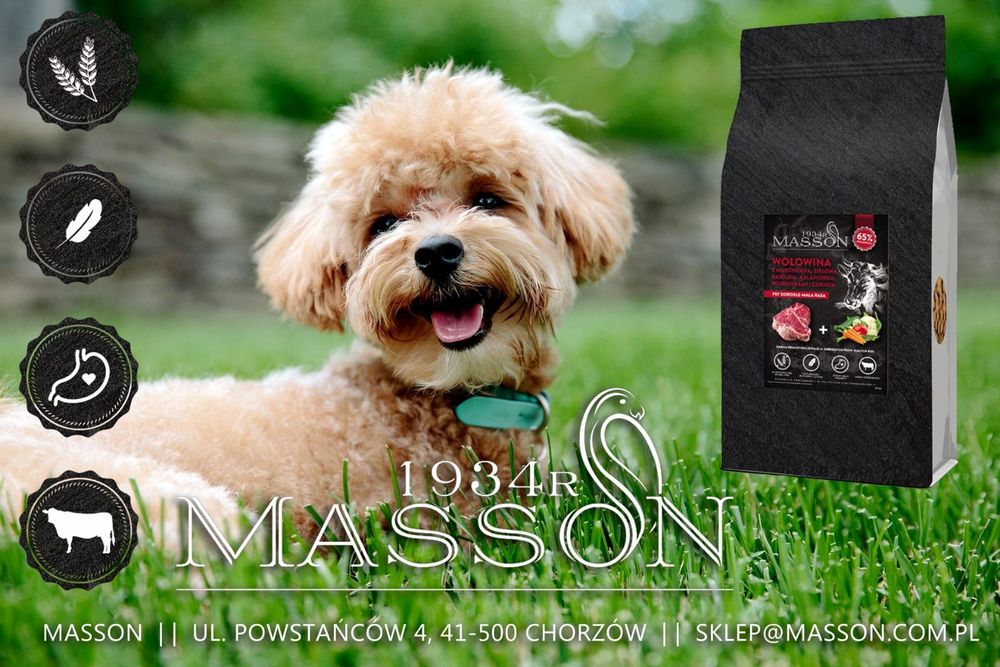 Karma Monoproteinowa Dla Dorosłych Psów Małych Ras 2kg MASSON