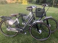 Gazelle Eclipse damka i meski komplet