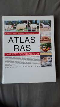 Atlas ras zwoerząt gospodarkach B. Nowicki, S. Jasek, J. Maciejowski