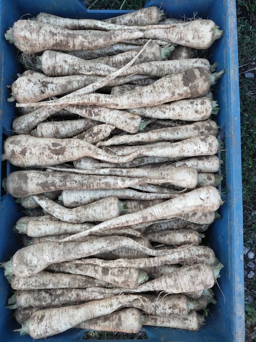 Warzywa z dostawą z własnego gospodarstwa