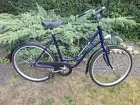 Granatowy Rower Omega