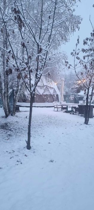 Міні- готель. Відпочинок під Київом. Оренда купола, от