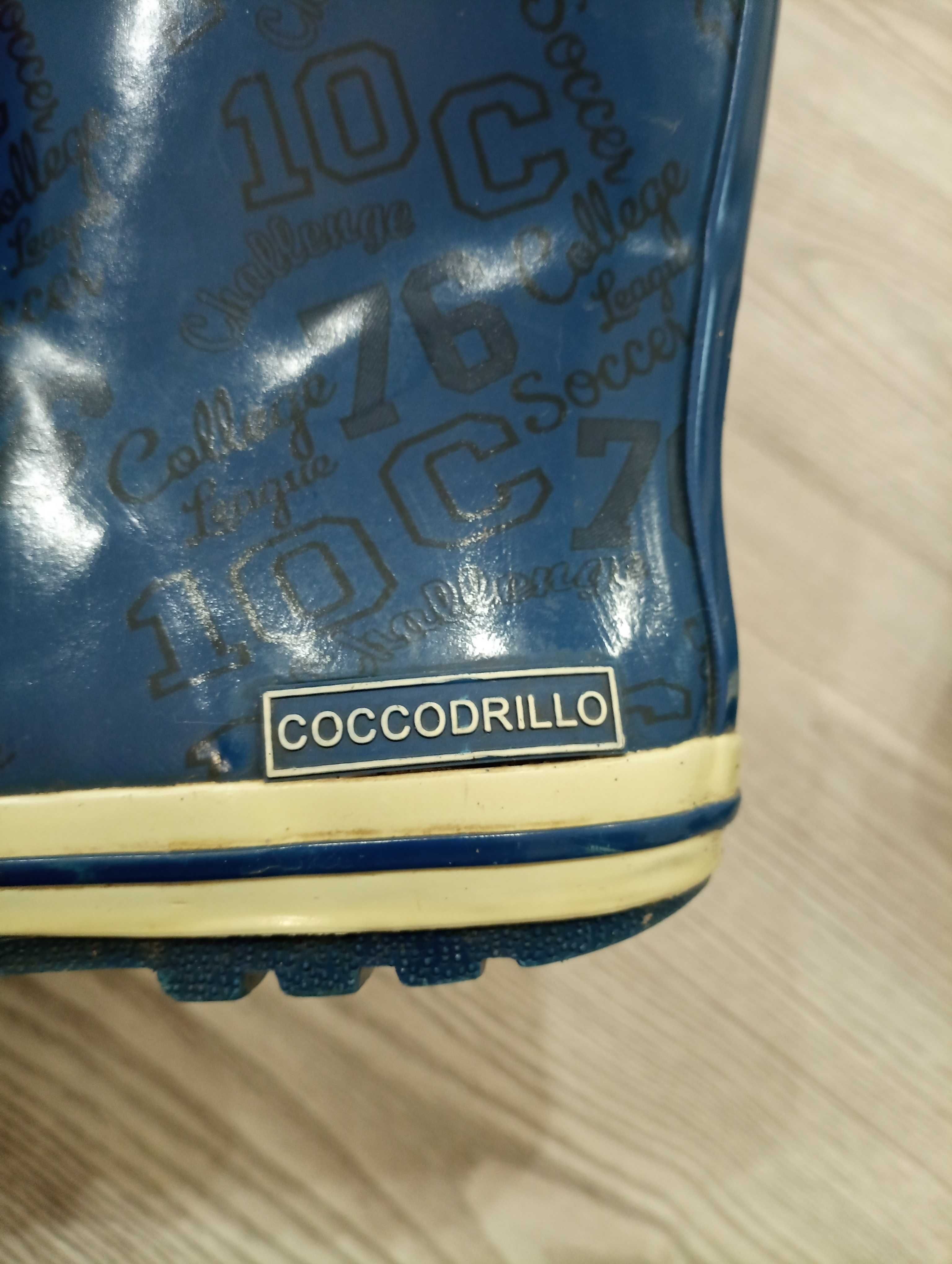 Продам сапоги резиновые детские Coccodrillo. Размер 34.