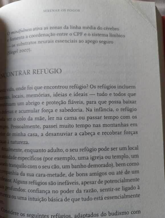 Cérebro de Buda - Dr. Rick Hanson e Dr. Richard Mendius