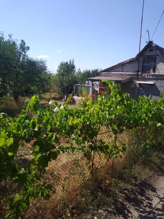 Продам Дачу в городе