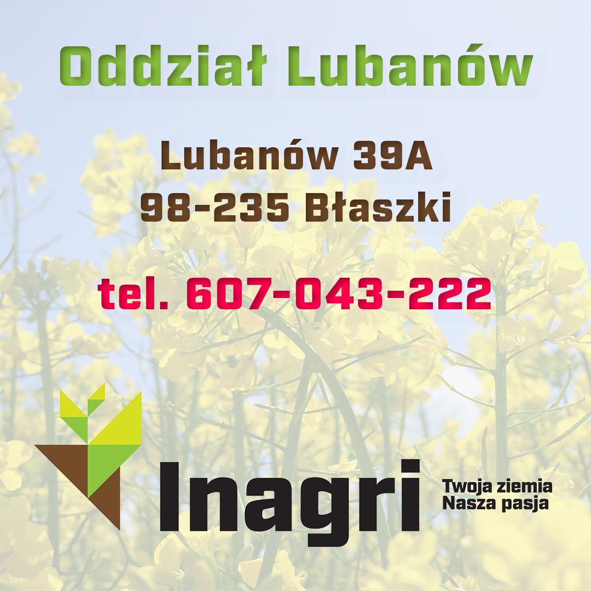 Rzepak ozimy Bachus C1, opak. 2,1 mln.n. Integral Pro i Buteo Start
