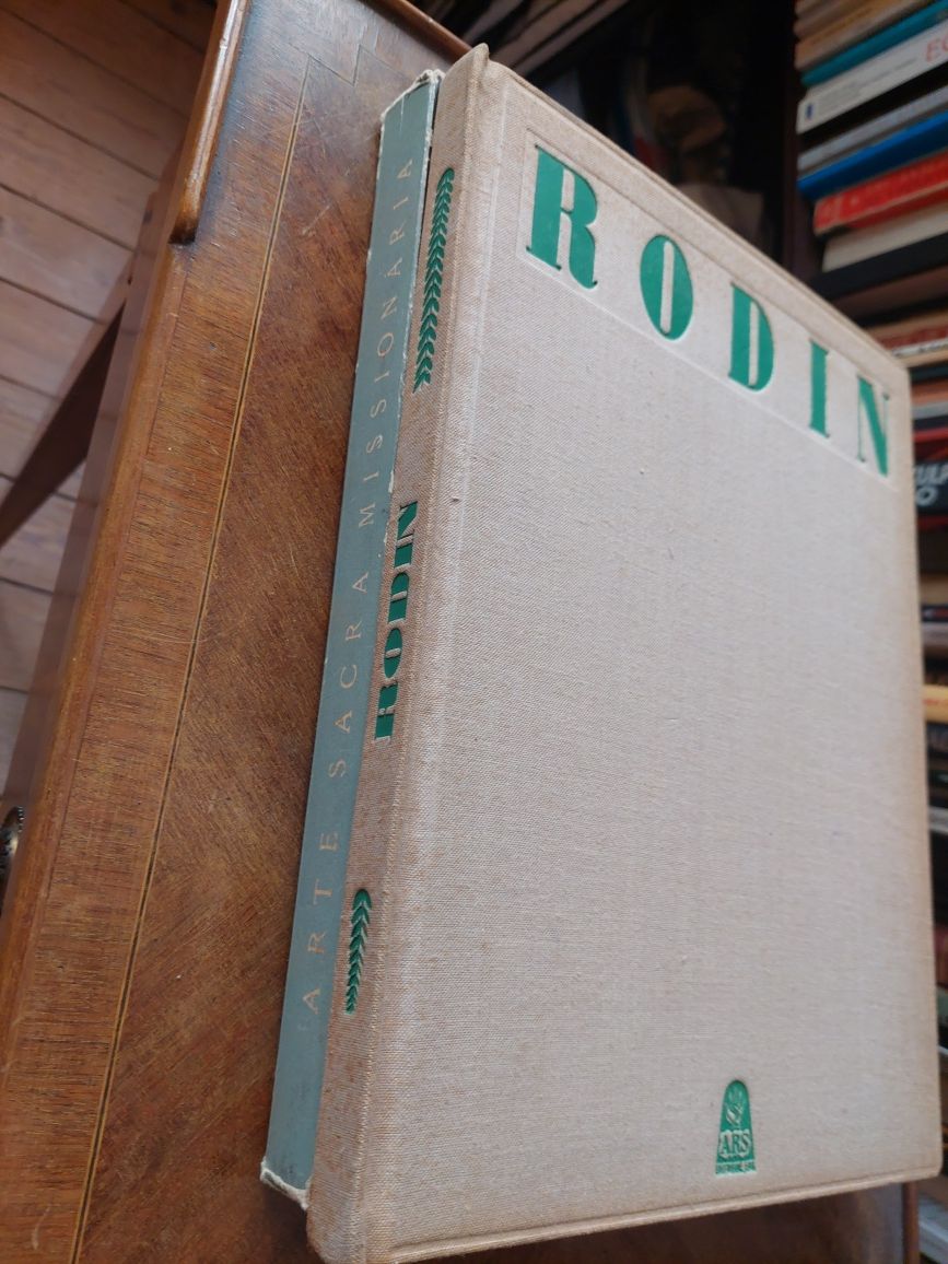 Livro Rodin  de Manuel Mendes