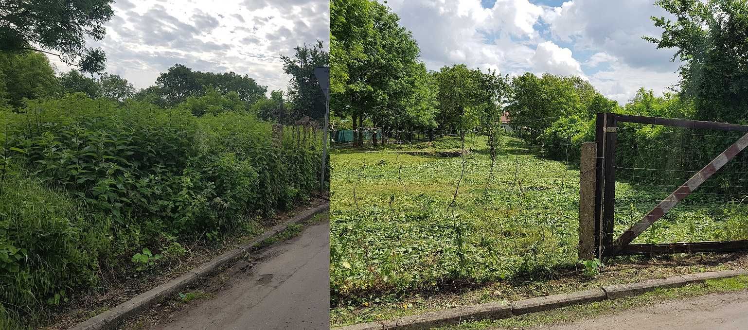 Koszenie trawy trawników Przemyśl Pielęgnacja terenów zielonych