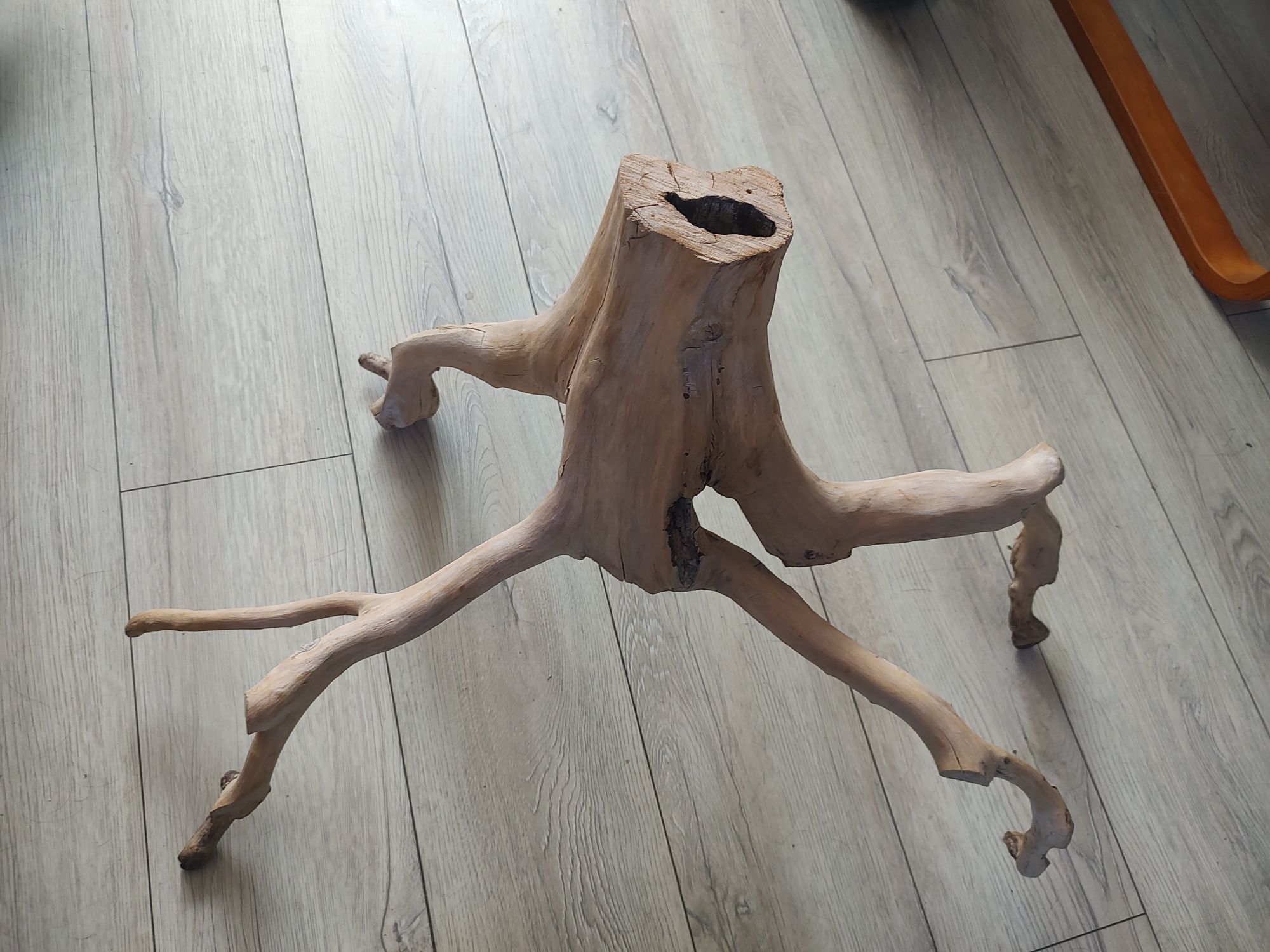 Korzeń do akwarium terrarium