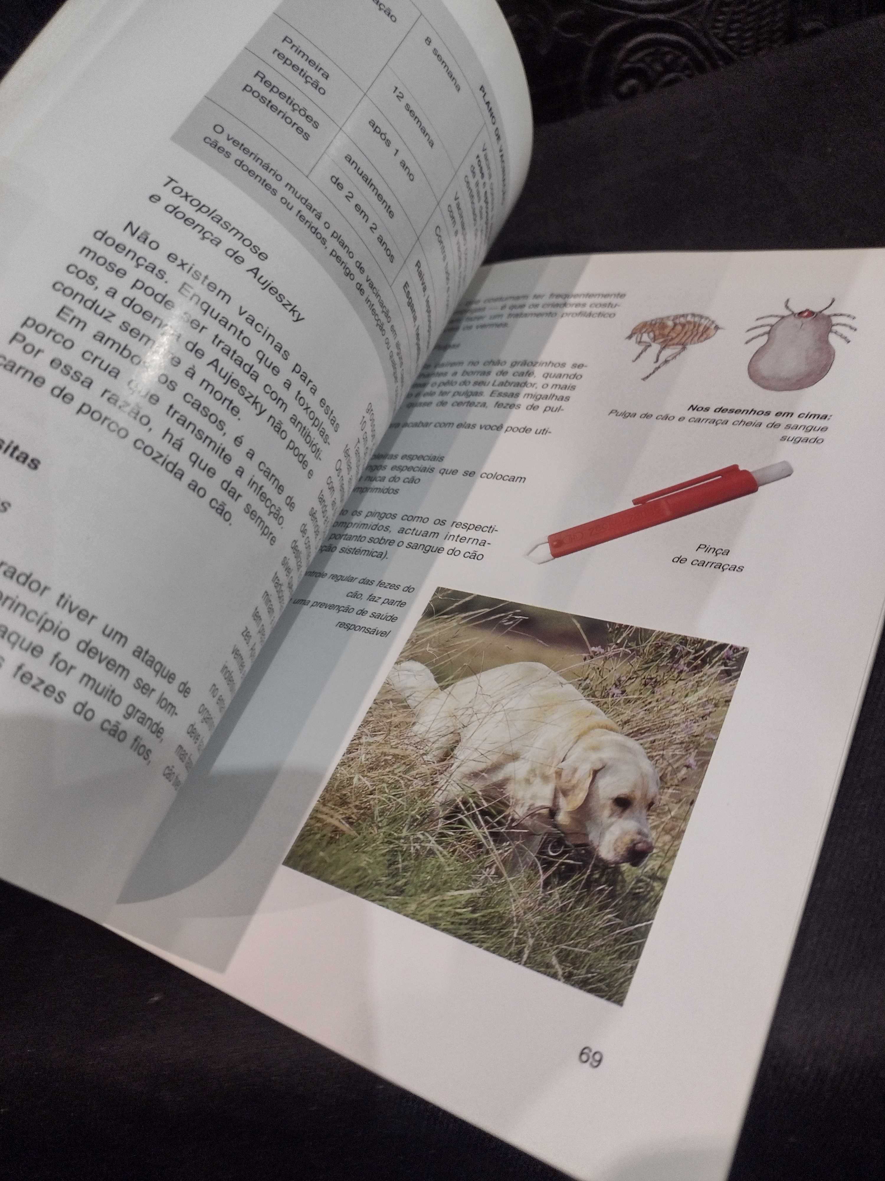 O Lavrador Retriever - Uschi Birr