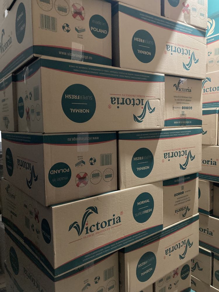 Оазис Victoria Normal Superfresh