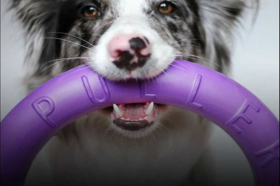 Тренувальний снаряд для собак Пуллер для всіх порід