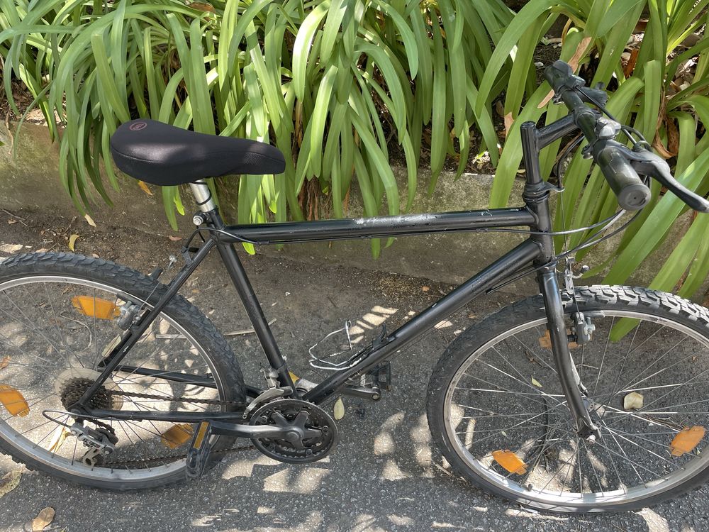 Bicicleta adulto