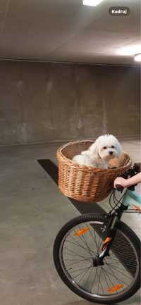 Kosz wiklinowy na rower dla psa