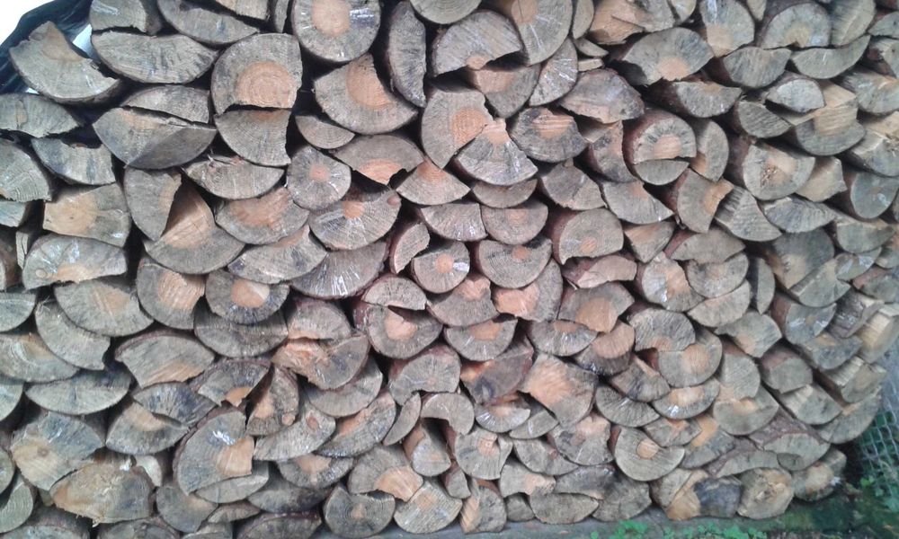 Drewno kominkowe cięte na 35 cm