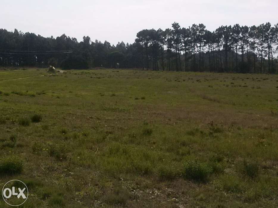 Arrenda-se terreno na Costa Vicentina - Aljezur