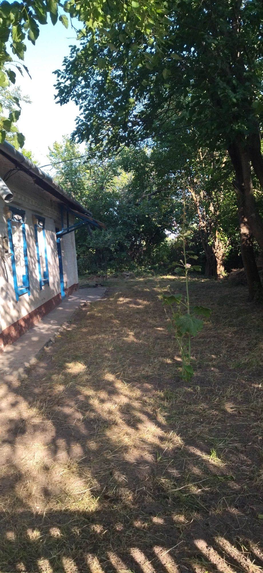 Продаж будинку в селі Горошино Полтавська область